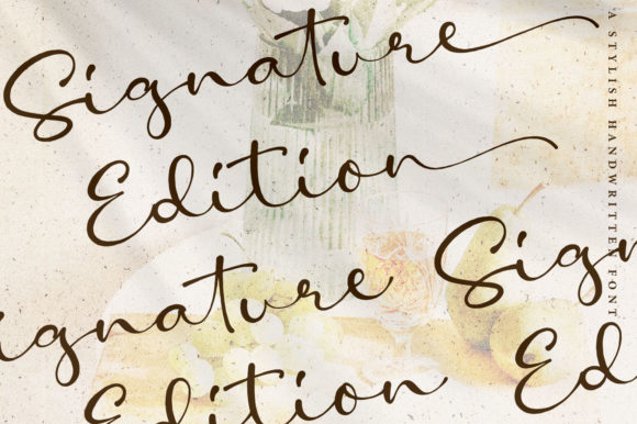 Amelia Stanley Font - Preview 3