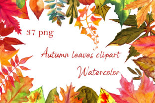 Autumn Leaves Clipart Set Graphic by ElenaZlataArt · Creative Fabrica
