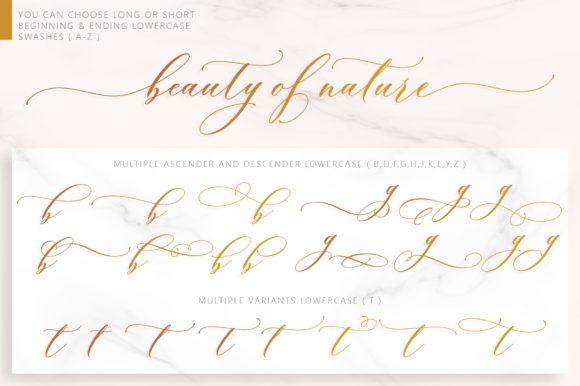 Brendisa Font - Preview 2