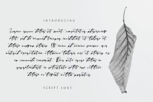Fatimah Font - Preview 4