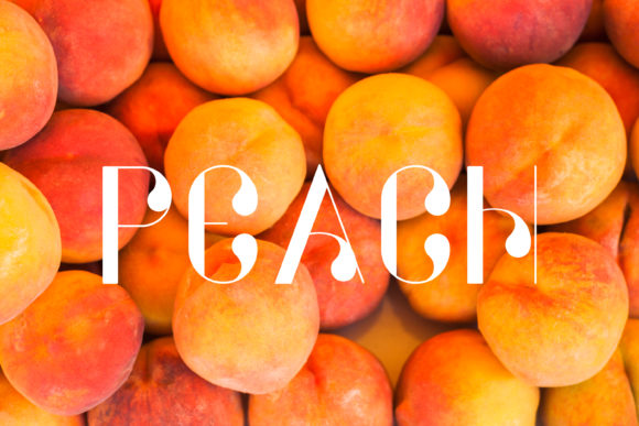 Fresh Font - Preview 1