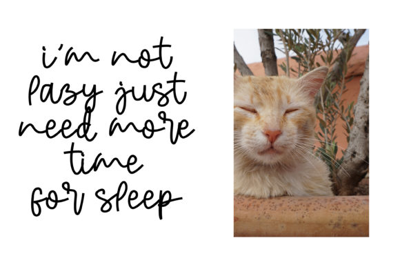 Demen Lemonade Font - Preview 2