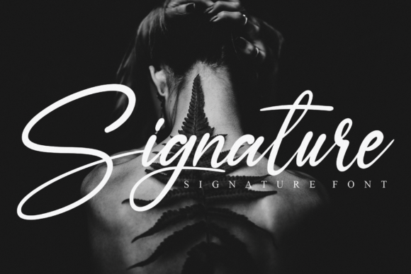 Ameyallinda Signature Font - Preview 3