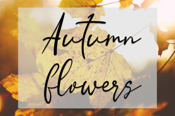 Butterfly Font - Preview 1