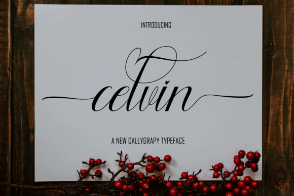 Celvin Font - Preview 1