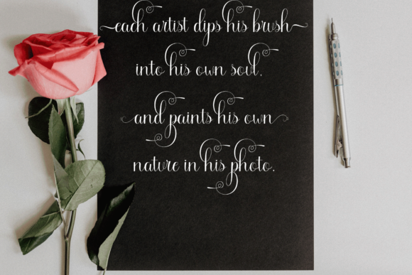 Celvin Font - Preview 2