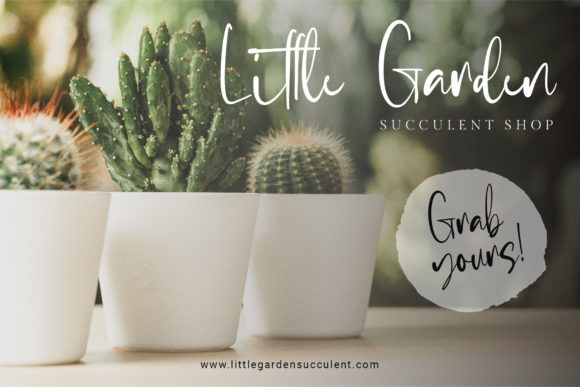 Emerthon Font - Preview 4