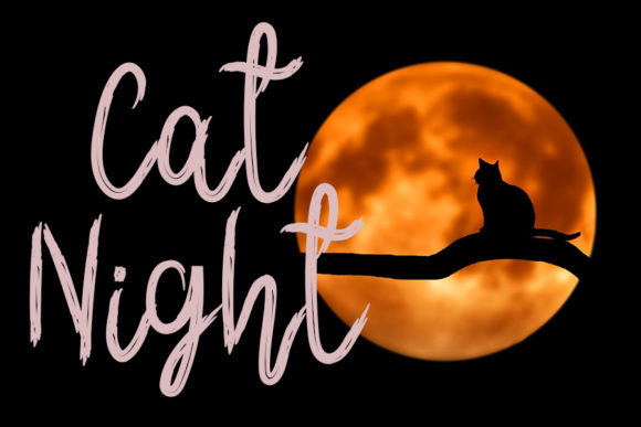 Halloween is Coming Font - Preview 2
