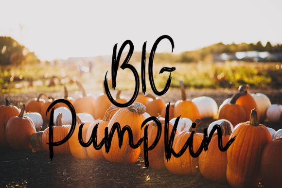 Halloween is Coming Font - Preview 4