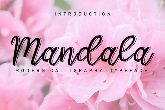 Mandala Script & Handwritten Font By GiaLetter