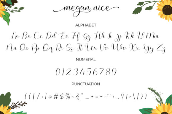 Megan Nice Font PNG with transparent background - Preview 4