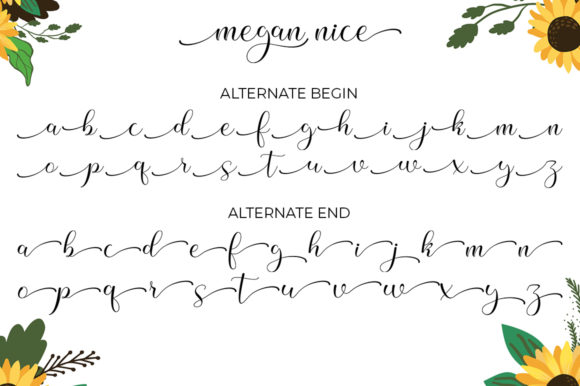 Megan Nice Font PNG with transparent background - Preview 5