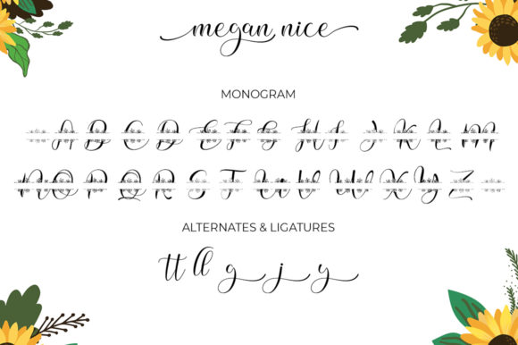 Megan Nice Font PNG with transparent background - Preview 6