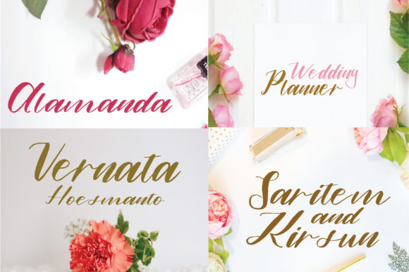 Alamanda Script & Handwritten Font By goodigital
