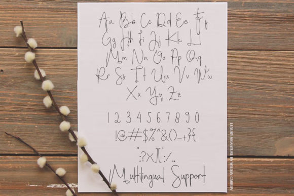Adolf William Font - Preview 3