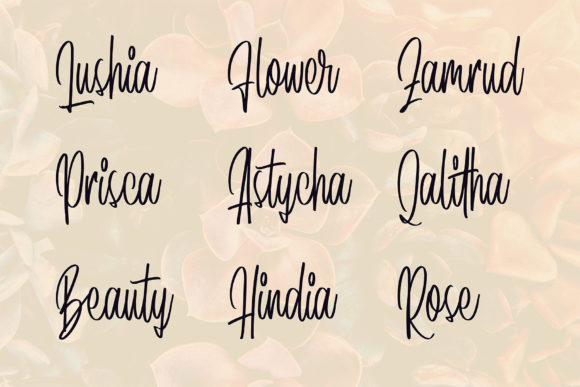 Darita Font - Preview 3