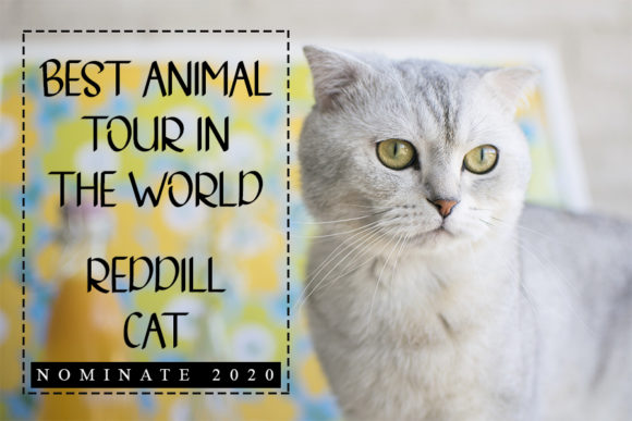 Animal House Font - Preview 1
