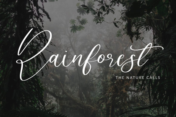 Ballegand Font - Preview 3