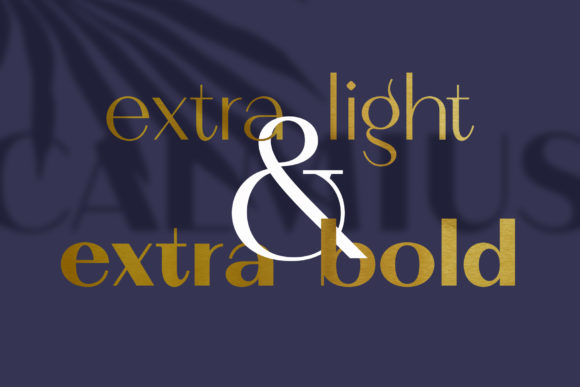 Calmius Font - Preview 1