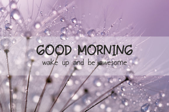 Daffodile Font - Preview 5