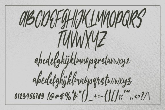 Edigtor Font PNG with transparent background - Preview 3