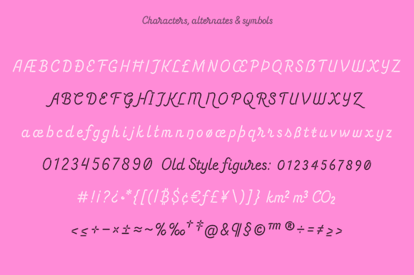 Energetic Script Font - Preview 3