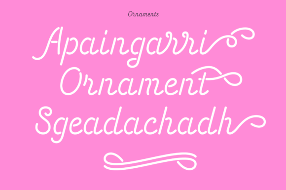 Energetic Script Font - Preview 4