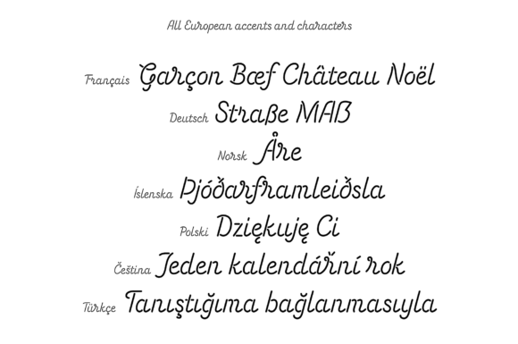 Energetic Script Font - Preview 5