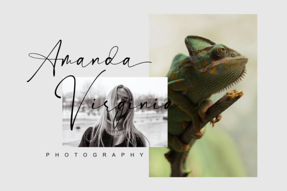 Estrada Signature Font - Preview 5