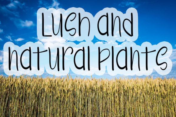 Farmhouse Font - Preview 1