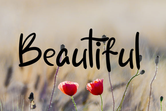 Fresh & Beauty Font - Preview 2