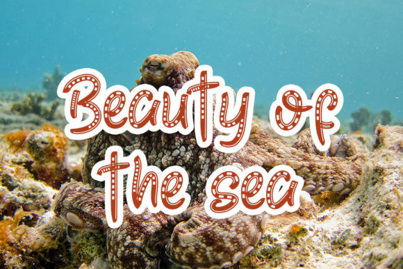 Sea Octopus Font PNG with transparent background - Preview 2