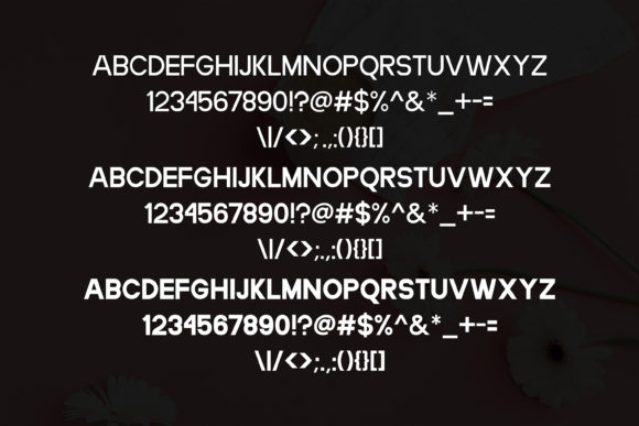Amelia Font - Preview 4