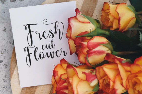 Amelia Kanny Font - Preview 3