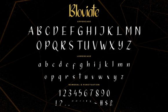 Bloviate Font - Preview 4