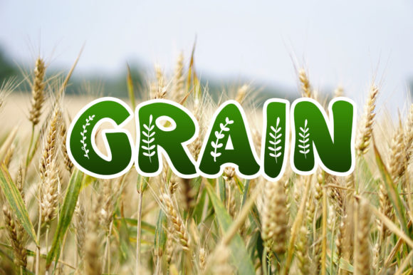 Branch Font - Preview 5