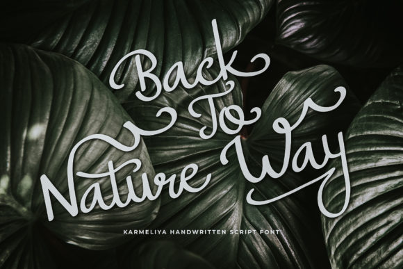 Karmeliya Font PNG with transparent background - Preview 1