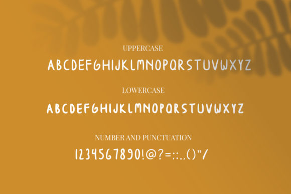 Clarova Font - Preview 5