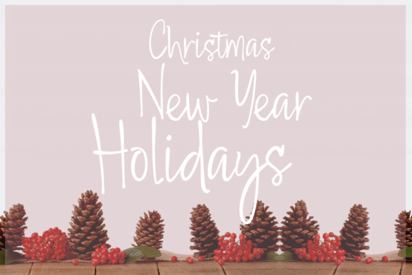 Dellinger Font - Preview 5