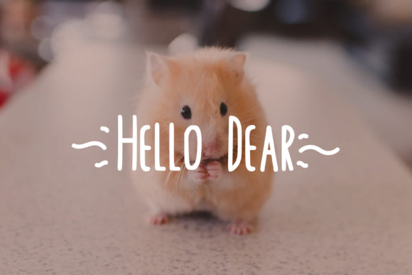 Elephant Cutie Font - Preview 1