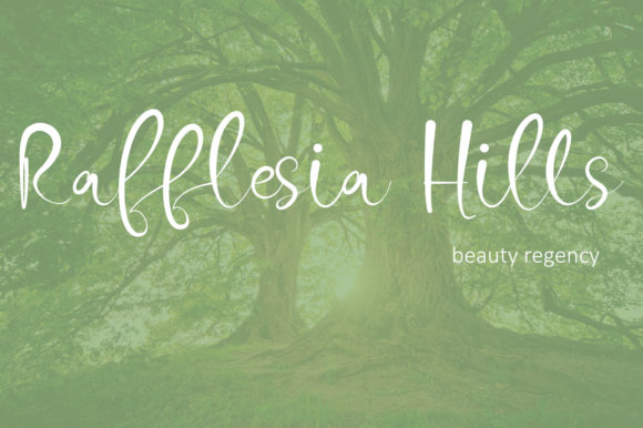 Fabulous Latte Font - Preview 5