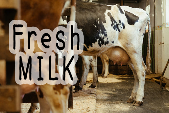 Farmhouse Font - Preview 3