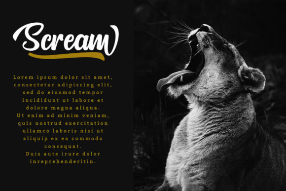 Northline Font PNG with transparent background - Preview 4