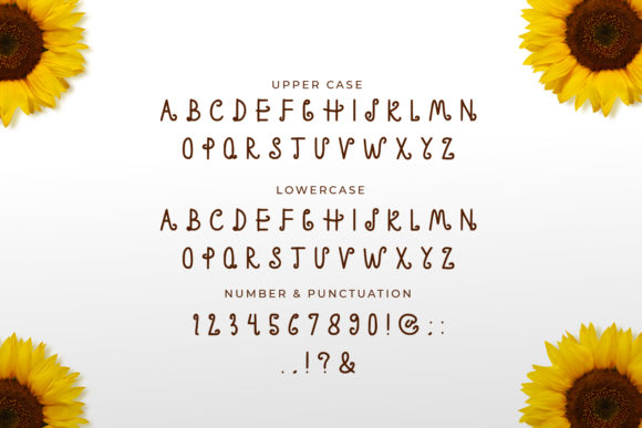 Pricilial Font PNG with transparent background - Preview 3