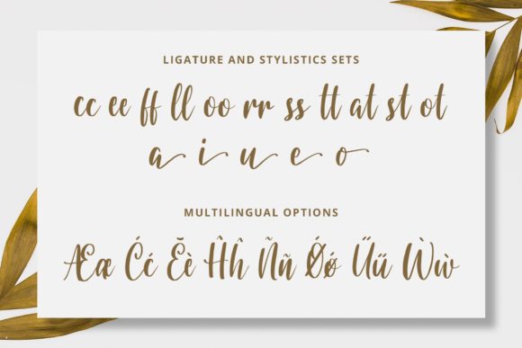 Burnt Rose Font - Preview 2