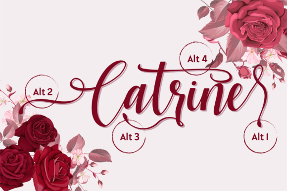 Catrine Font - Preview 6