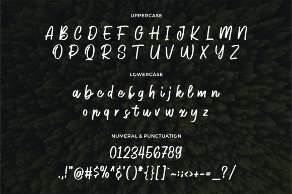 Hodges Font PNG with transparent background - Preview 6