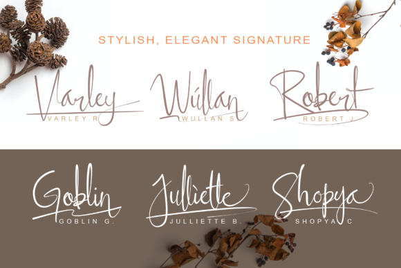 Ellyshabeth Font PNG with transparent background - Preview 3