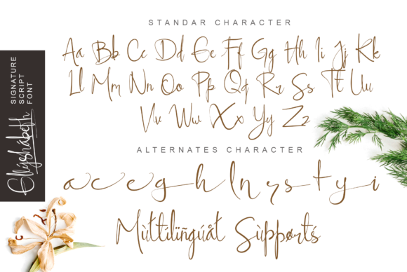 Ellyshabeth Font PNG with transparent background - Preview 6