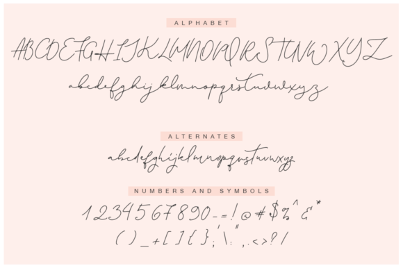 Amsterdam Font - Preview 1